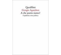 A che punto siamo? L'epidemia come politica