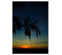 A CLOSER LOOK Minimalist Lined Notebook for Journaling, Planning, Mental Health, Organization: Landscape Photography, Sunset, Nature, Trees, Rainbow, Night Sky, Country Roads