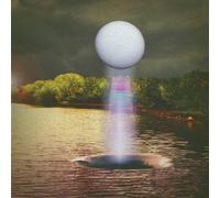 A Coliseum Complex Museum - Besnard Lakes (Vinile)