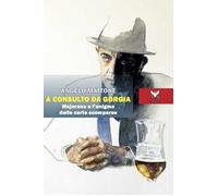 A consulto da Gorgia. Majorana e l'enigma delle carte scomparse