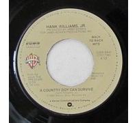 A COUNTRY BOY CAN SURVIVE / ALL MY ROWDY FRIENDS (HAVE SETTLED DOWN) (45/7")