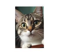 A Curious Cat Welcome Garden Flag 0,6 x 0,9 m Double Sided No Fade House Yard Bandiere Photo Sfondo Banner per Cortile Portico Prato Decorazione Esterna