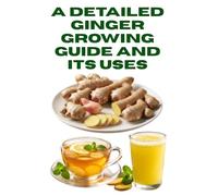 A Detailed Ginger Growing Guide and Its Uses