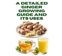 A Detailed Ginger Growing Guide and Its Uses