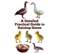 A Detailed Practical Guide to Raising Geese