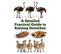 A Detailed Practical Guide to Raising Ostriches