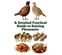 A Detailed Practical Guide to Raising Pheasants