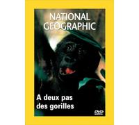 A deux pas des gorilles