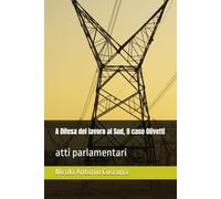A Difesa del lavoro al Sud, Il caso Olivetti: atti parlamentari