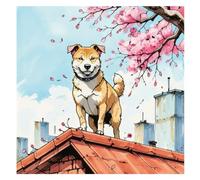 A dog on top of the roof