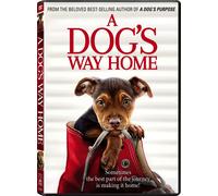A Dog's Way Home (DVD) Ashley Judd Jonah Hauer-King Edward Olmos Alexandra Shipp