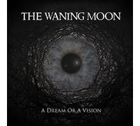 A Dream Or A Vision