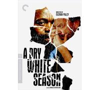 A Dry White Season (The Criterion Collection) (DVD)