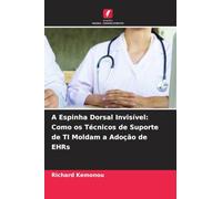 A Espinha Dorsal Invisível: Como os Técnicos de Suporte de TI Moldam a Adoção de EHRs