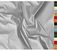 A-Express Tessuto in Morbida Ecopelle Spandex Elastico Finta Pelle Materiale Aspetto Opaco Vinile Similpelle 140cm 55" Larghezza 230 gsm Senso Unico Elastico Venduto al Metro - 200cm x 140cm Argento