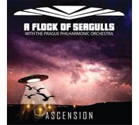 A Flock of Seagulls Ascension Album