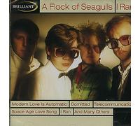 A Flock of Seagulls - I Ran (Live)