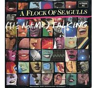 A Flock Of Seagulls - (It's Not Me) Talking