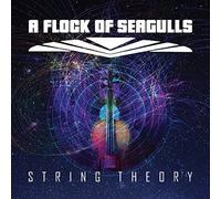 A Flock Of Seagulls - String Theory