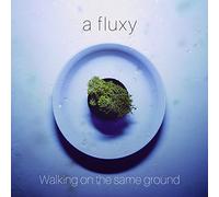 A Fluxy - Walking on the Same Ground