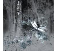 A Gift For Your Dreams by Will-O-The Wisp (2007-01-01)