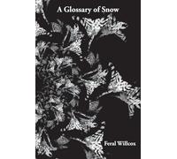 A Glossary of Snow