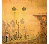 Syd Matters A Gospel of Some Sort (Vinyl LP) 12" Album