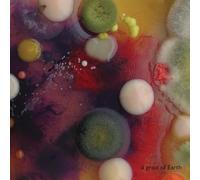 Marta Warelis - A Grain Of Earth