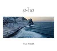 a-ha True North (Vinyl LP) 12" Album (Gatefold Cover)