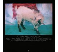 A Hawk And A Hacksaw - You Have Already Gone To The Other World