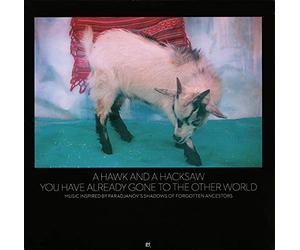 A Hawk And A Hacksaw - You Have Already Gone To The Other World