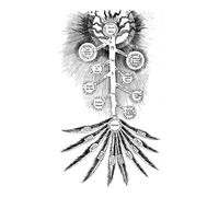 A Hermetic Gospel: Corpus Hermeticum, Kybalion, and The Lesser Key of Solomon