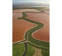 A History of the Netherlands: From Bogs to a Global Power