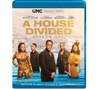 A House Divided: Season 1 (Blu-ray) Demetria Mckinney Lawrence Hilton Jacobs