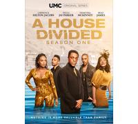 A House Divided: Season 1 (DVD) Art Evans Brad James Demetria Mckinney