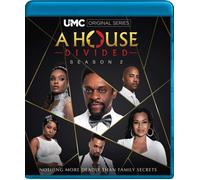 A House Divided Season 2 (Blu-ray) Demetria Mckinney Lawrence Hilton Jacobs
