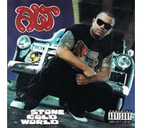 A.l.T. - Stone Cold World