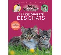 A la découverte des chats