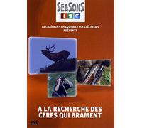 A la recherche des cerfs qui brament