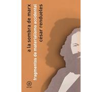 A la sombra de Marx: Fragmentos de materialismo accidental: 8
