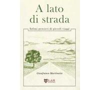 A lato di strada. Infimi pensieri di piccoli viaggi