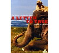 A Letter To True [2008] [DVD] [Edizione: Regno Unito]