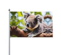 A little koala Prints Bandiere decorative per esterni 0,9 x 1,5 m leggere e belle adatte per cortili all'aperto e celebrazioni di festival.