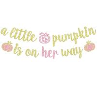 A Little Pumpkin is on Her Way Banner, decorazioni da appendere per baby shower, decorazioni da appendere per il primo compleanno del bambino, decorazioni per feste per baby shower, forniture per