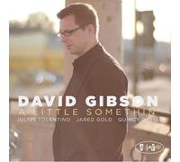 A Little Somethin' by David Gibson (2009-06-16)
