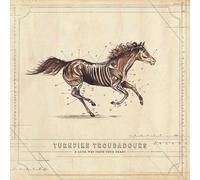 A Long Way From Your Heart - Turnpike Troubadours (Audio cd)