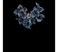 A Lot Like Birds Divisi (CD)