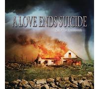 A LOVE ENDS SUICIDE - IN THE DISASTER by A LOVE ENDS SUICIDE (2006-09-04)