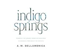 A M Dellamonica Indigo Springs (Tascabile) Blue Magic