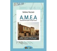 A.M.E.A. di Stefano Pacciani, 2019, Youcanprint